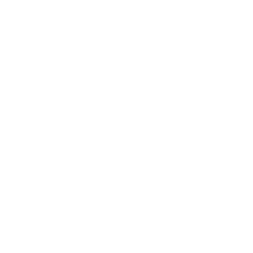 Professionalism and experience